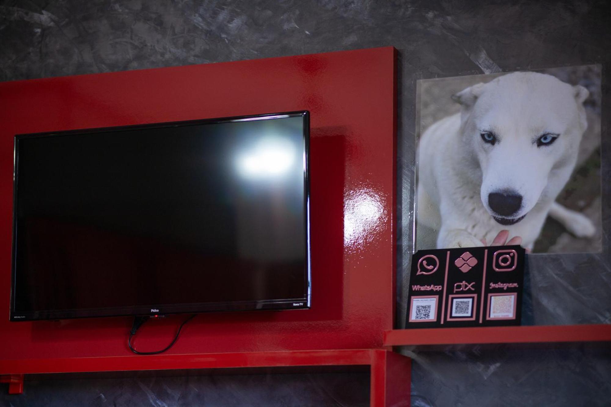 Husky *